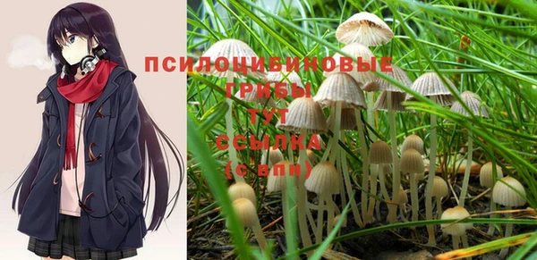 а пвп мука Кинешма