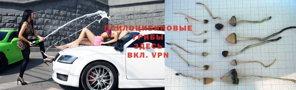 стафф Киреевск