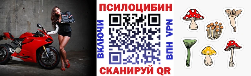 Псилоцибиновые грибы Psilocybine cubensis Ногинск